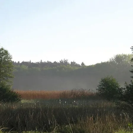 Holiday Am Schweriner See - Dms01012-bya